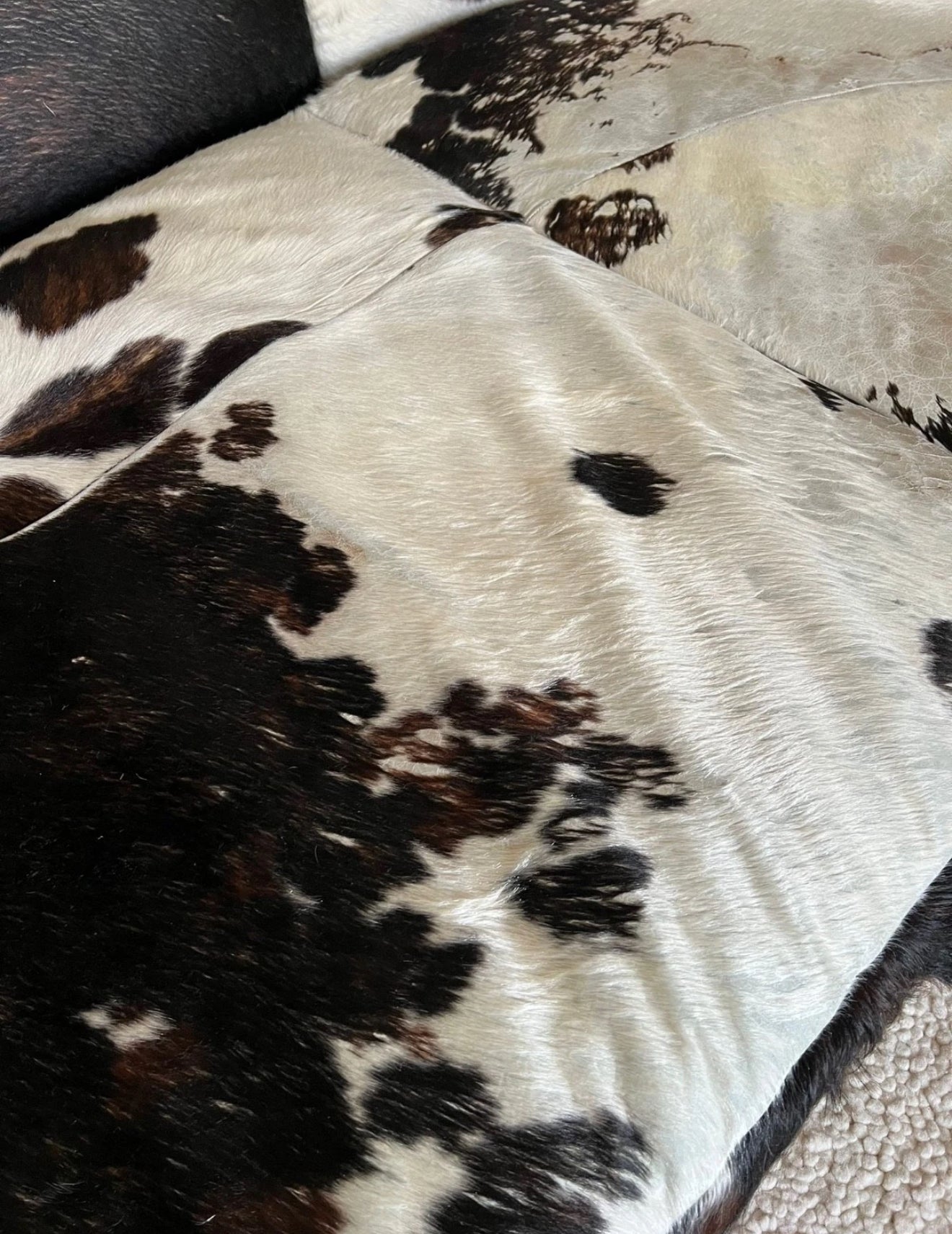 Bretz Cow sofa